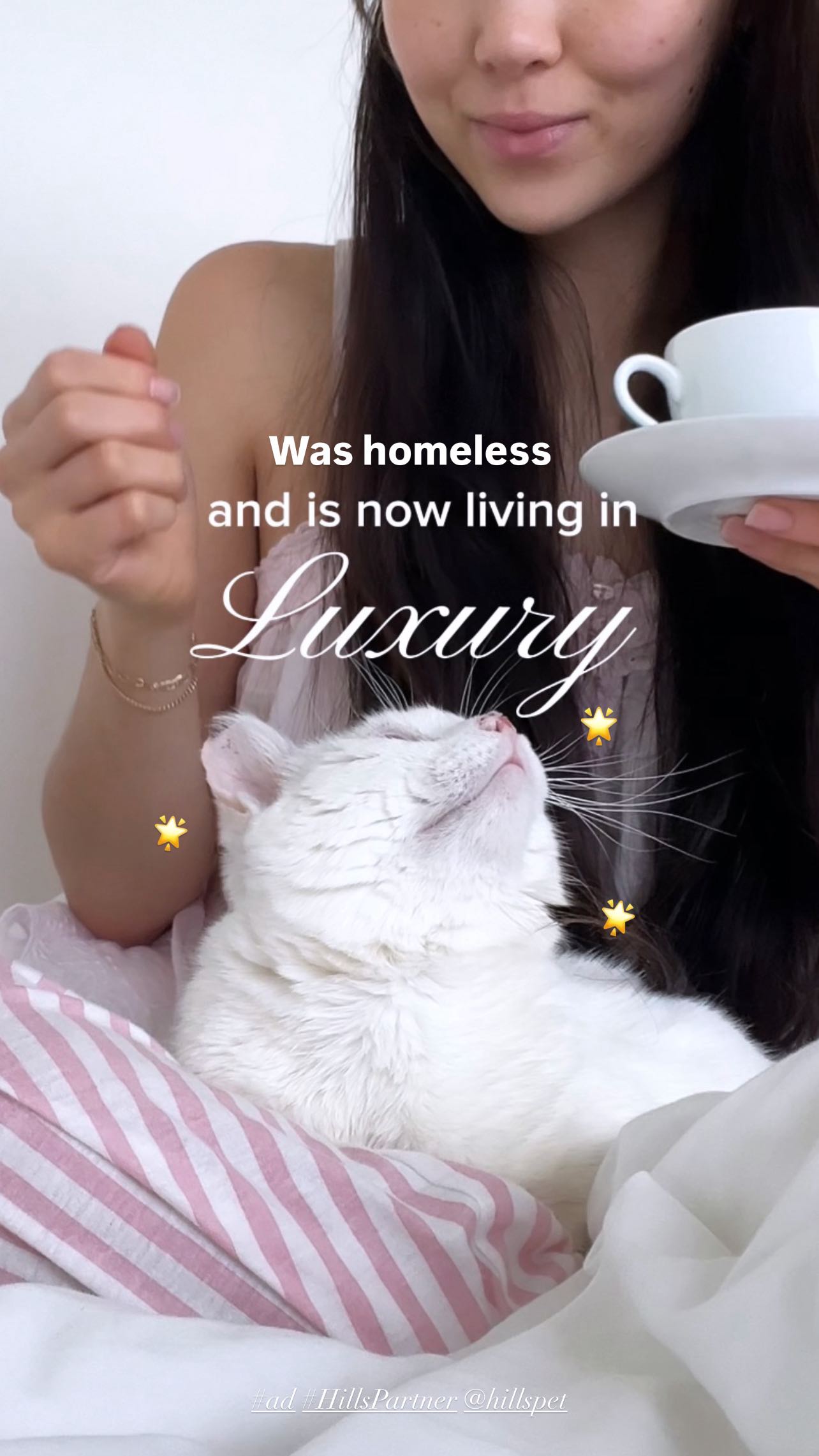 Instagram post by @jadynhaileyy for Hills Pet. Caption reads: 🌟 #Ad #HillsPartner Mr.Armani’s Purrfect Morning....