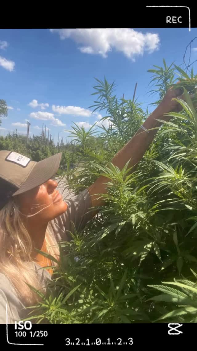 Instagram post by @shellyanderson for Smart Pot. Caption reads: @smartpots 🪴☀️ 
Use Promo Code: Shelly for [...].