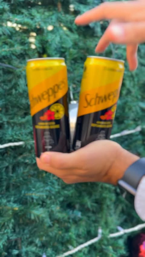 Instagram post by @michelenocca for Schweppes. Caption reads: [...] right drink between Christmas meals 🎊....