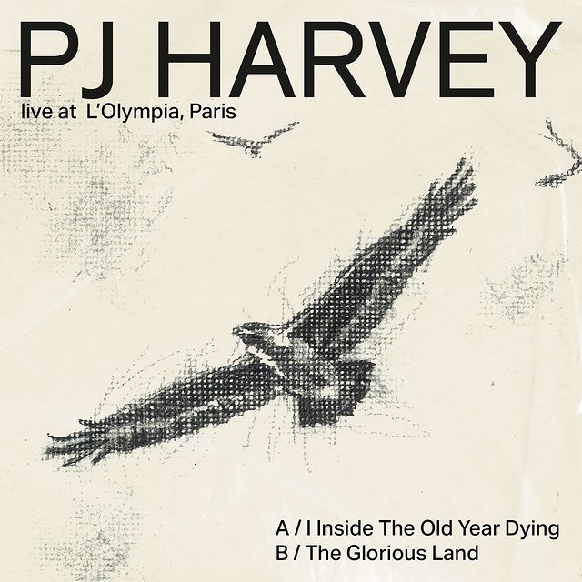 Instagram post by @pjharveyofficial for Bandcamp. Caption reads: @WarChildUK, in collaboration with....