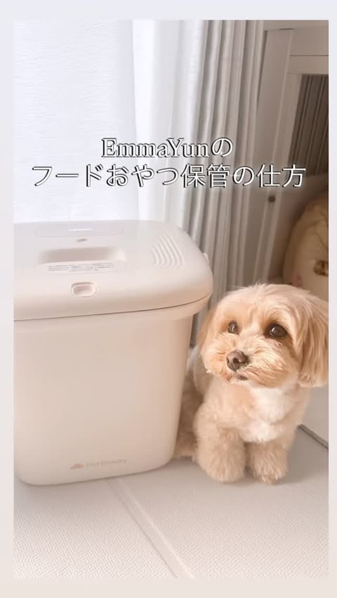 Instagram post by @iam_emma.yun for PetSnowy. Caption reads: フード保管方法⟡꙳ @petsnowy_jp さんの真空フードストッカー [...].