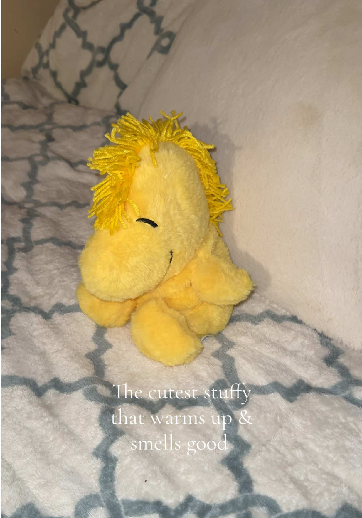 TikTok post by @xoxoluvjoan for Warmies. Caption reads: [...] cramps, I put mine on my stomach 🫶🏻....