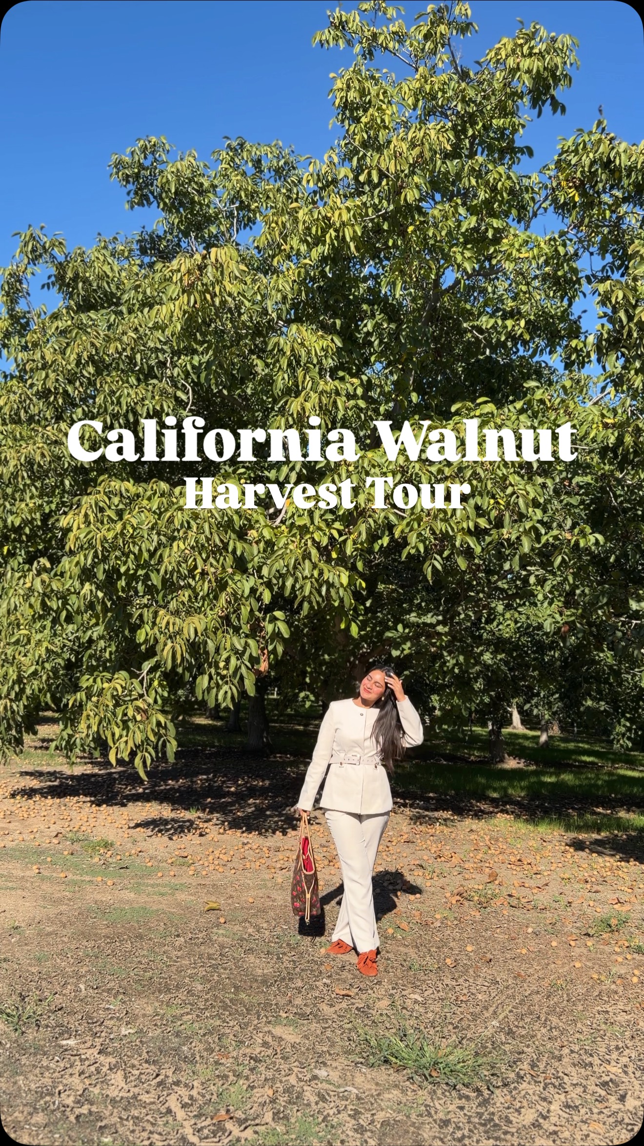 Instagram post by @theclassyfoodophile for California Walnuts. Caption reads: From orchard to table 🌰✨
Witnessing the....