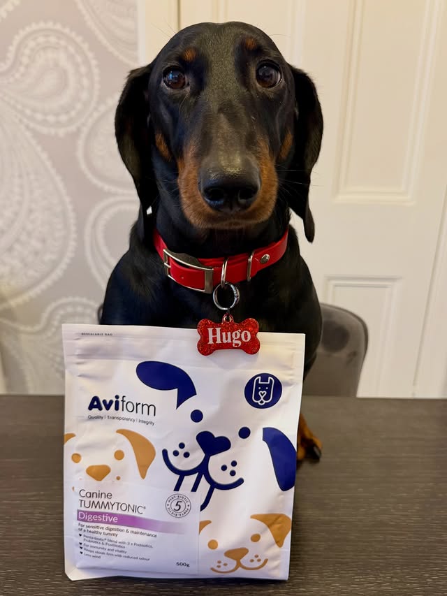 Instagram post by an influencer for Aviform Ltd. Caption reads: AD/ A settled tummy makes all the difference 🐶....