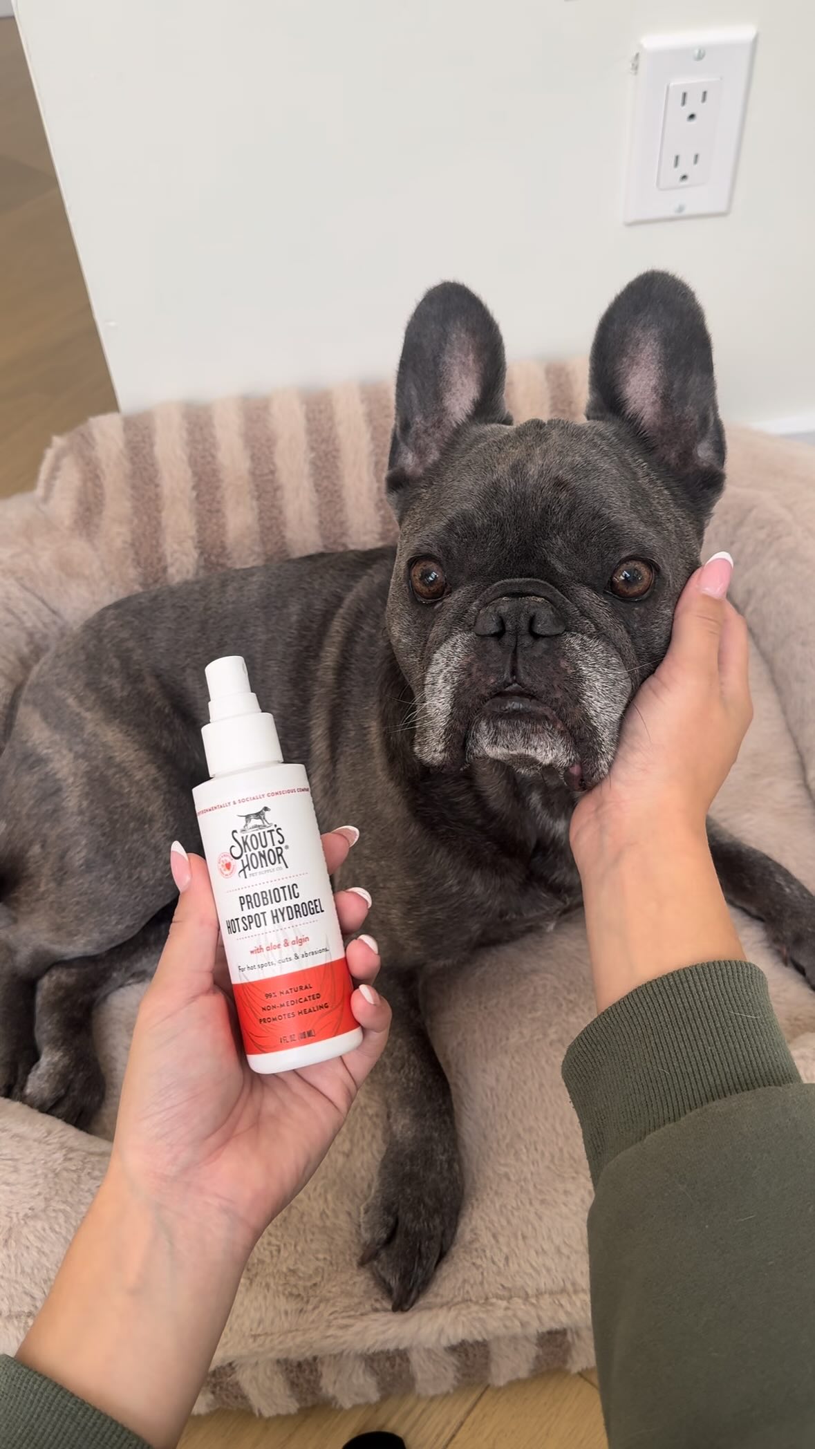 Instagram post by @winstonthefrenchiee_ for Skout's Honor. Caption reads: [...] spot.. 🫠

I immediately grabbed my....