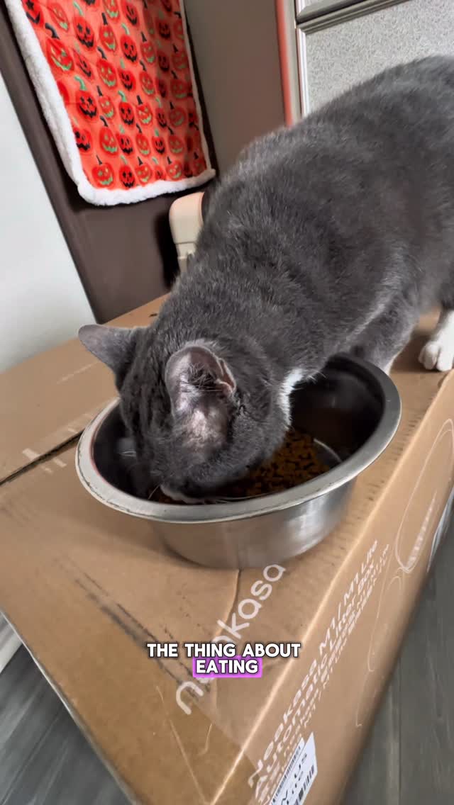 Instagram post by @stinkwalker for Neakasa. Caption reads: @neakasa.tech  Safe for cats. Suitable for all cat....