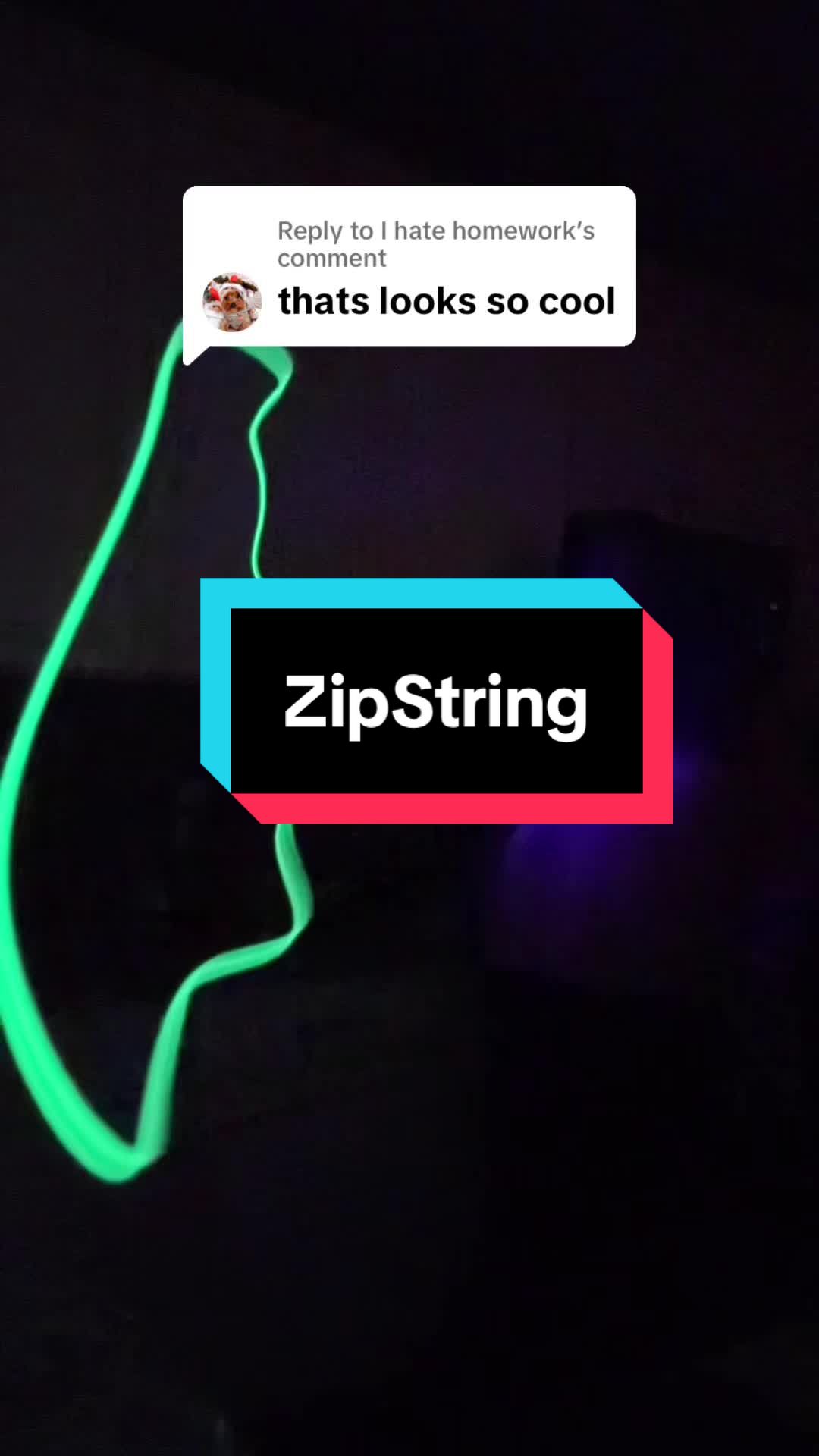 TikTok post by @plussizeandbossy for ZipString. Caption reads: Replying to @I hate homework 🕸️ I don’t know who....