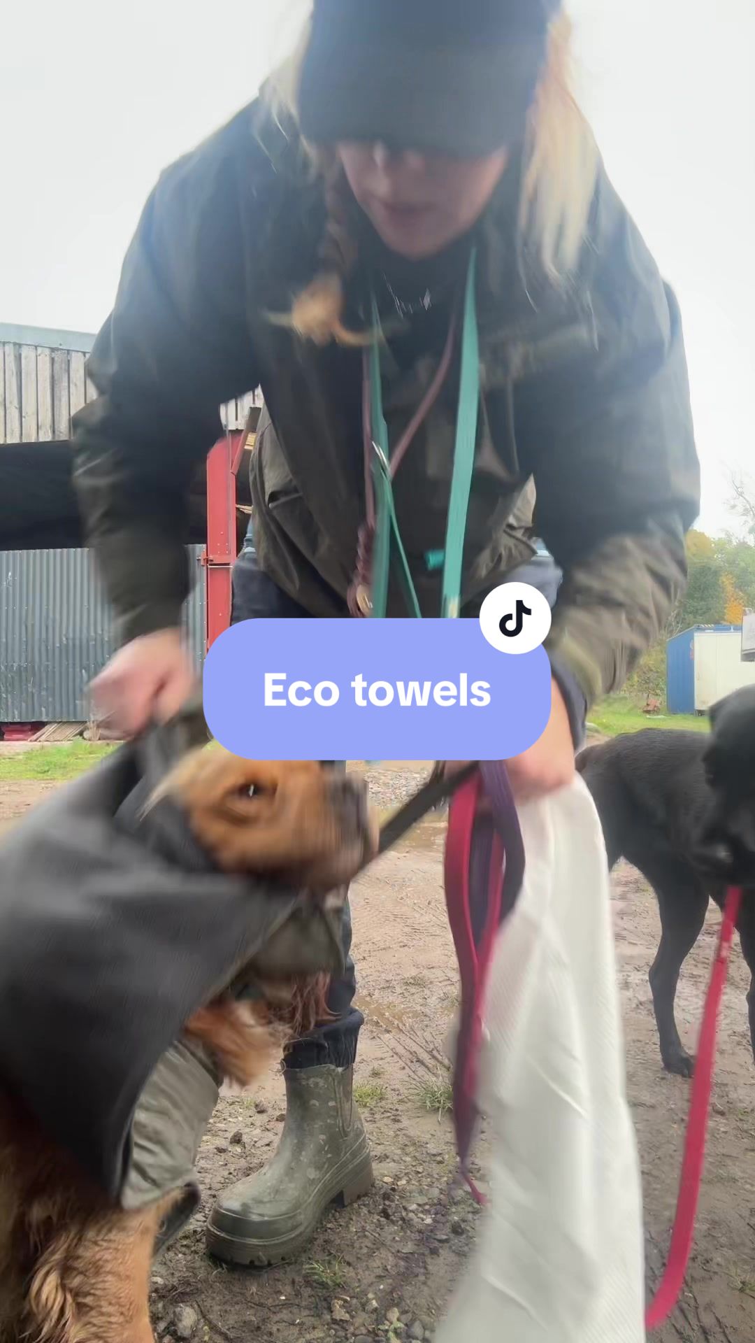 TikTok post by @bestbarkingbehaviour for DotDotPet. Caption reads: Its the best time of year😭🤣 @dotdotpet @Herbal....