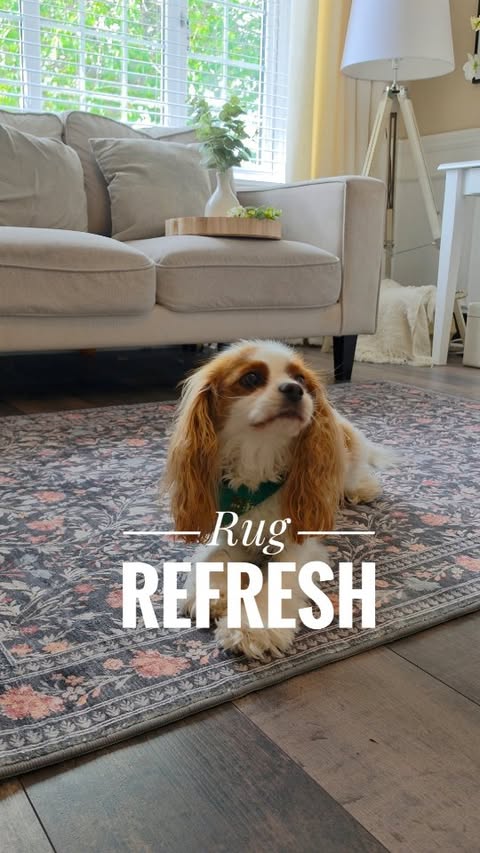 Instagram post by @littlepettittpad for B&Q. Caption reads: AD Rug Refresh With B&Q A simple change can make....