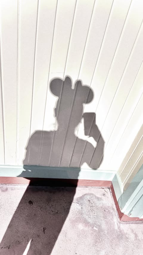 Instagram post by @magical.enchantment for Disney Store. Caption reads: celebrate 65 years of Disney’s 101 Dalmatians in....