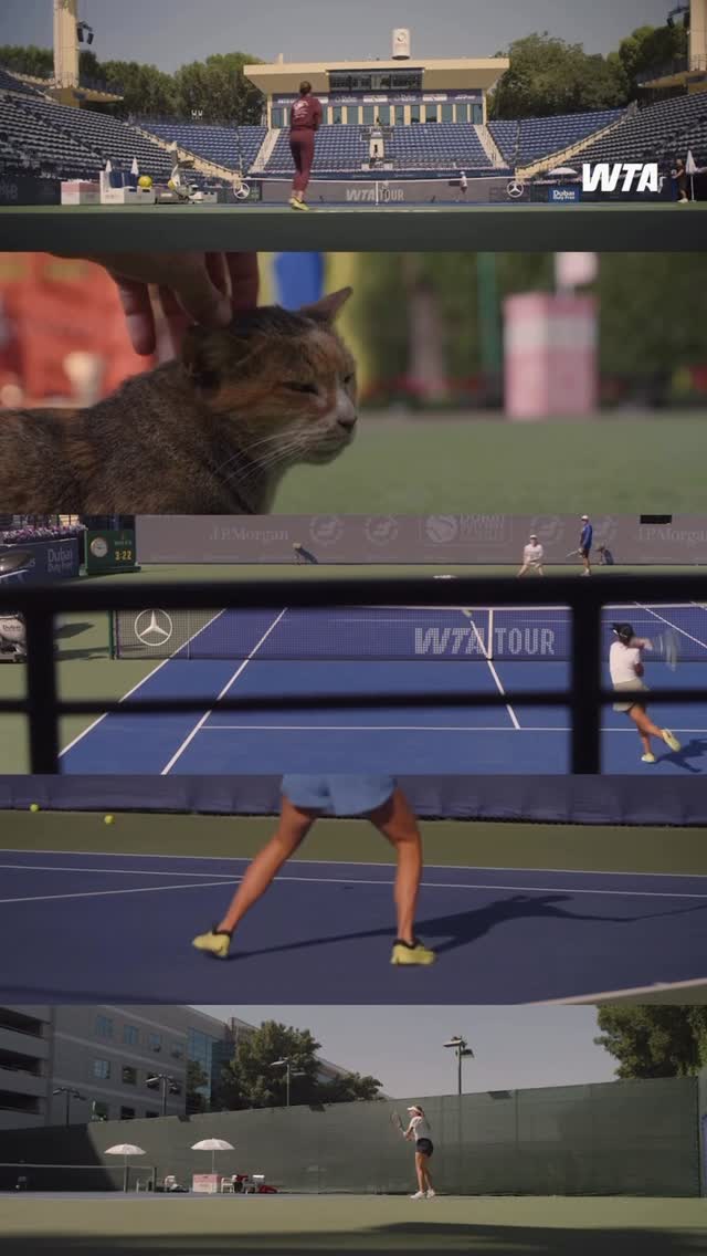 Instagram post by @ddftennis for Mercedes-Benz. Caption reads: Dubai in motion 📽️ @mercedesbenz | #DDFTennis.