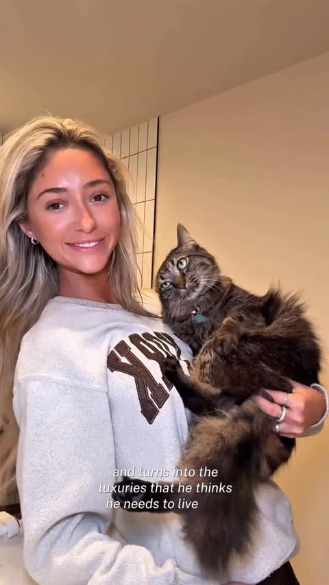 Instagram post by @sophieogle for Purina. Caption reads: [...] the house manager gets his treats… 🐈....