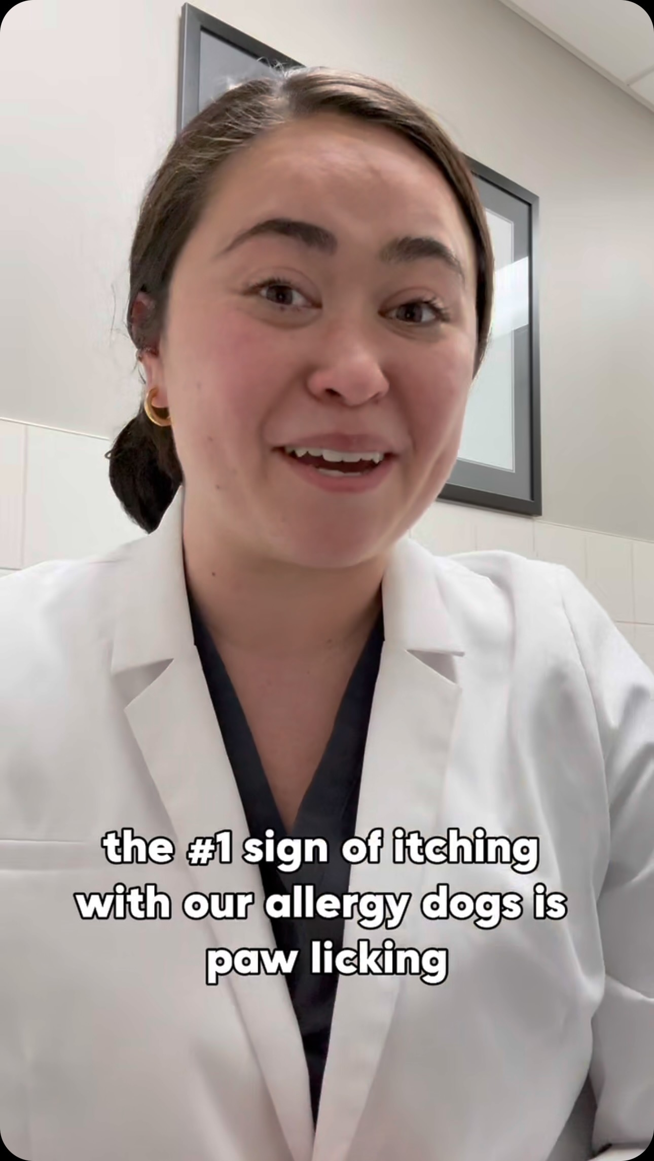 Instagram post by @dogtorkristi for VetriScience. Caption reads: Comment “ALLERGY” to grab some for your pet!

The....