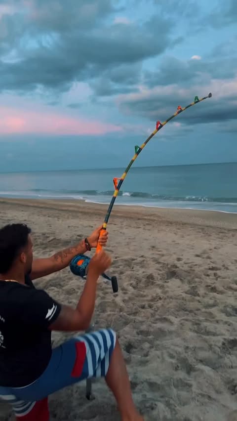 Instagram post by @lisharkmanofficial for 1st Phorm. Caption reads: [...] #summer #crazy #viral #sharkfishing ....