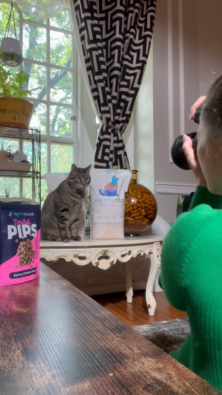 Instagram post by @_bethanyautumn_ for Prettylitter. Caption reads: Freeloader to Influencer 
Gizmo is officially....