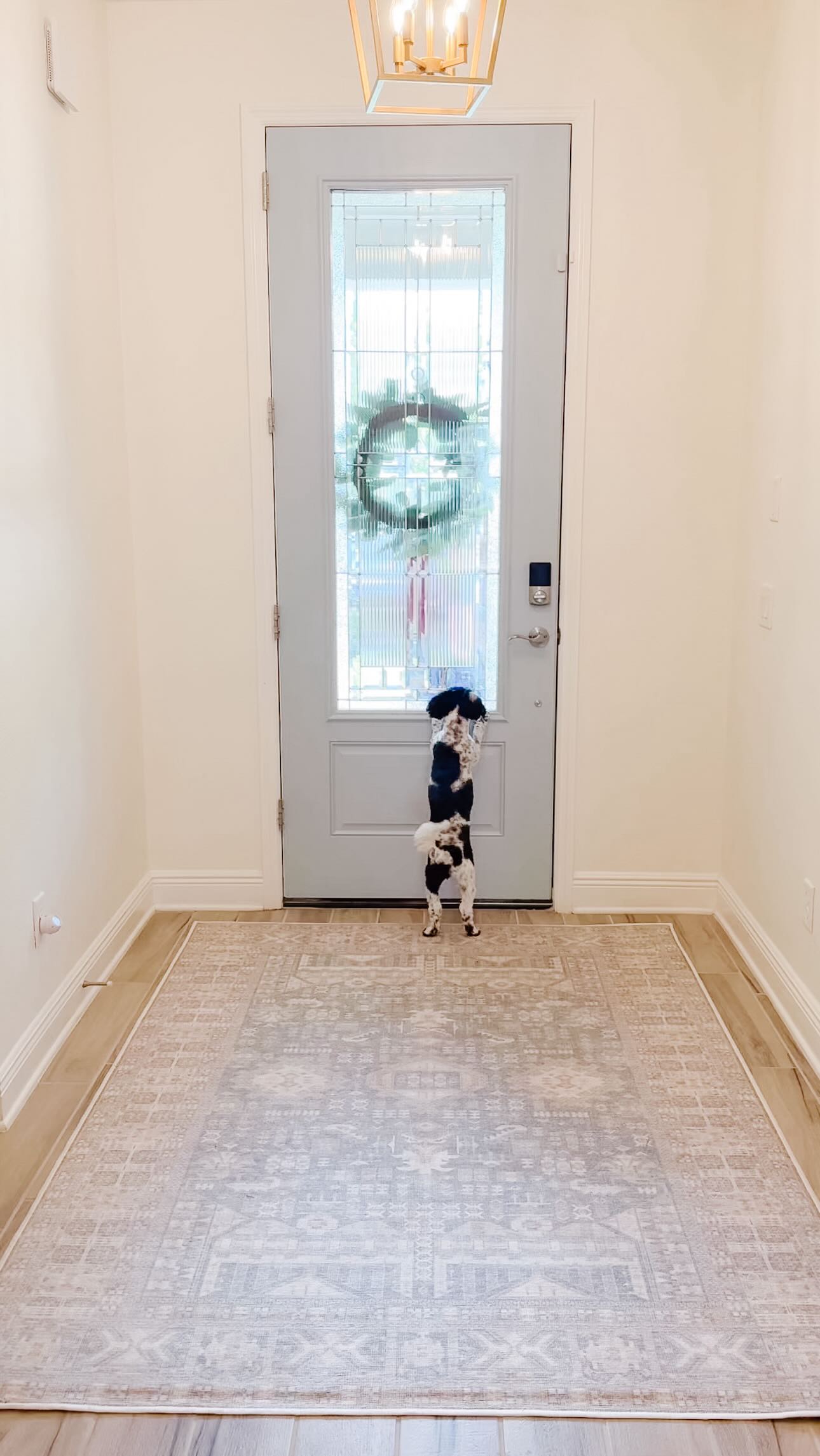 Instagram post by @simplesweetalmostcomplete for Tumble Circus. Caption reads: We are in love with our new entry rug from....