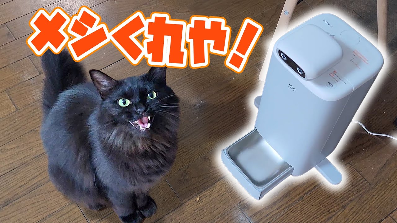 YouTube post by @nekotohachurui for 7sGood. Caption reads: [Cute even for a project] Let's try out an....