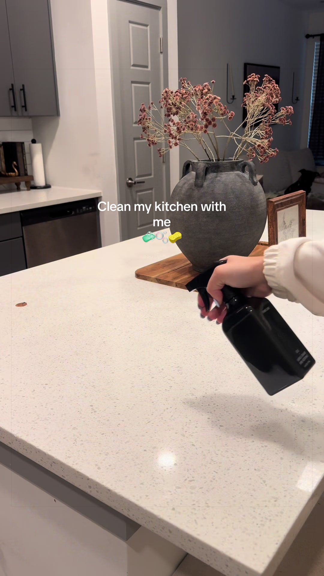 TikTok post by @minimalistapartmentgirly for Homecourt. Caption reads: [...] #cleaningproduct #tiktokshop @Homecourt.
