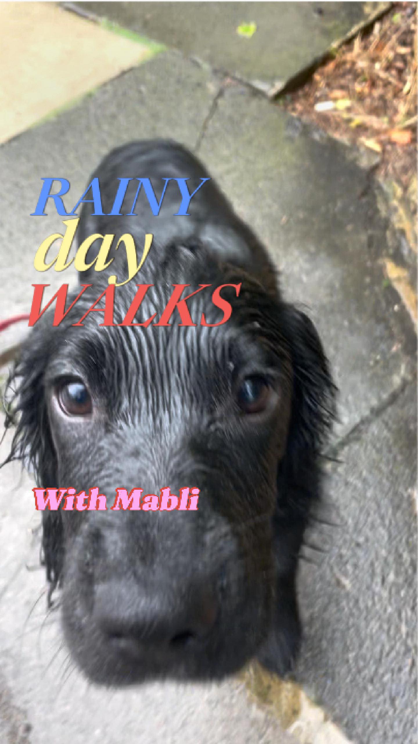 Instagram post by @seanfletchertv for GO Outdoors. Caption reads: Mabli and I got caught out in one of the heavy....