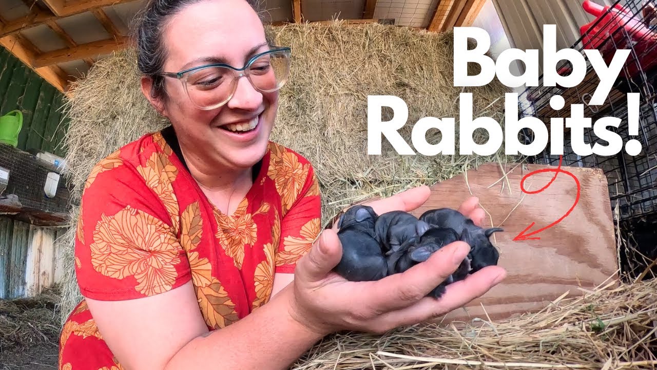 YouTube post by @SageandStoneHomestead for ororo Heated Apparel. Caption reads: Homestead Life This Week: Goat Meat (Cooking &....