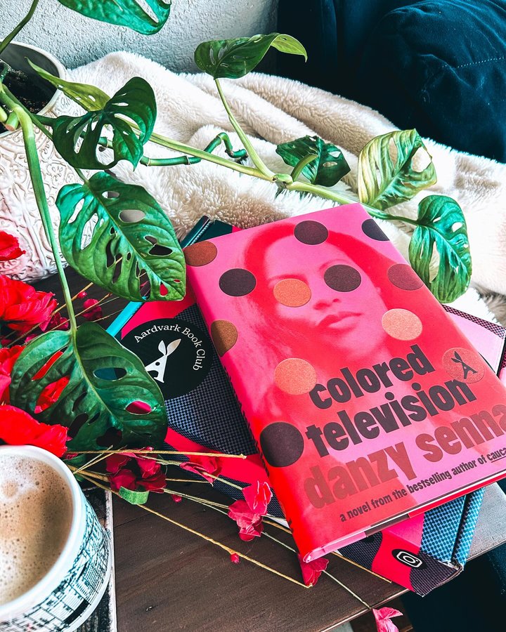 Instagram post by @rachellelovesbooks for Aardvark Book Club. Caption reads: [...] Television (thank you #gifted....