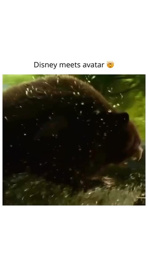 Instagram post by @911dashcams for Disney. Caption reads: [...] with her new animal perspective.....