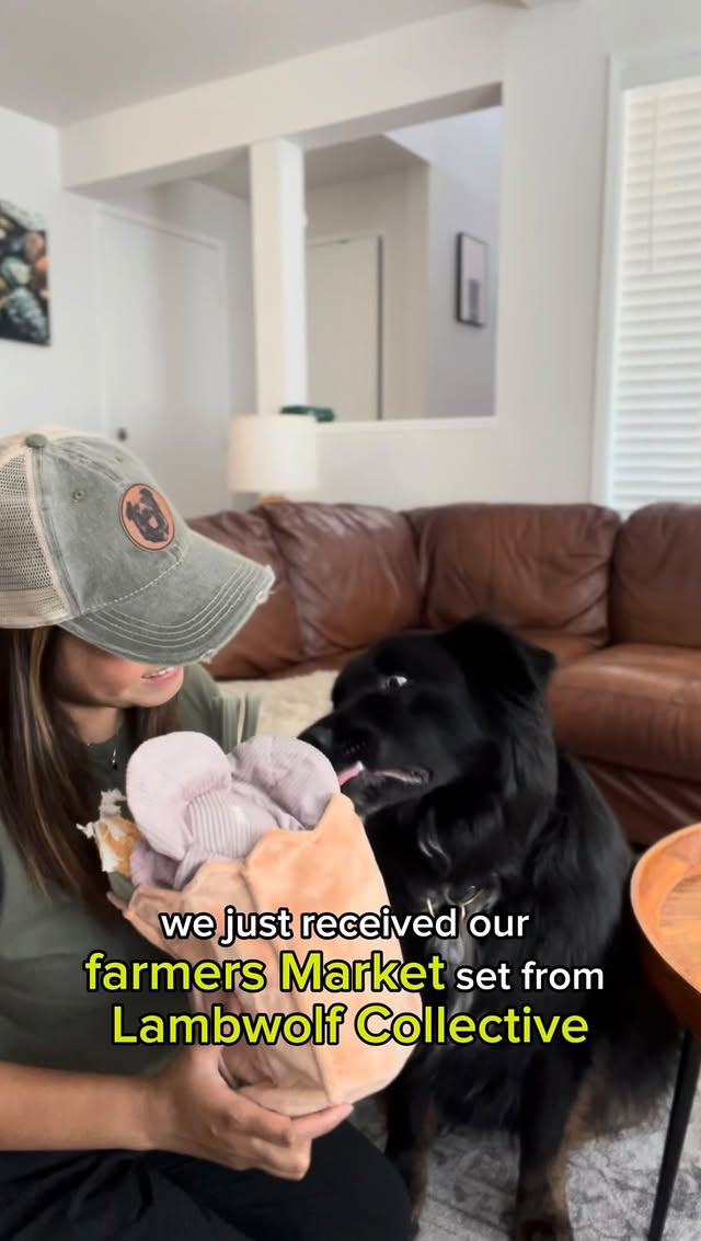 Instagram post by @_oaktheaussie_ for Lambwolf. Caption reads: [...] newest, biggest obsession 🤭 Thanks....