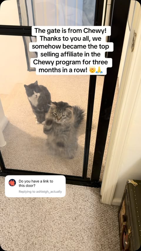 Instagram post by @matilda.and.the.boys for Chewy. Caption reads: The gate is from @chewy! It’s been very helpful in....