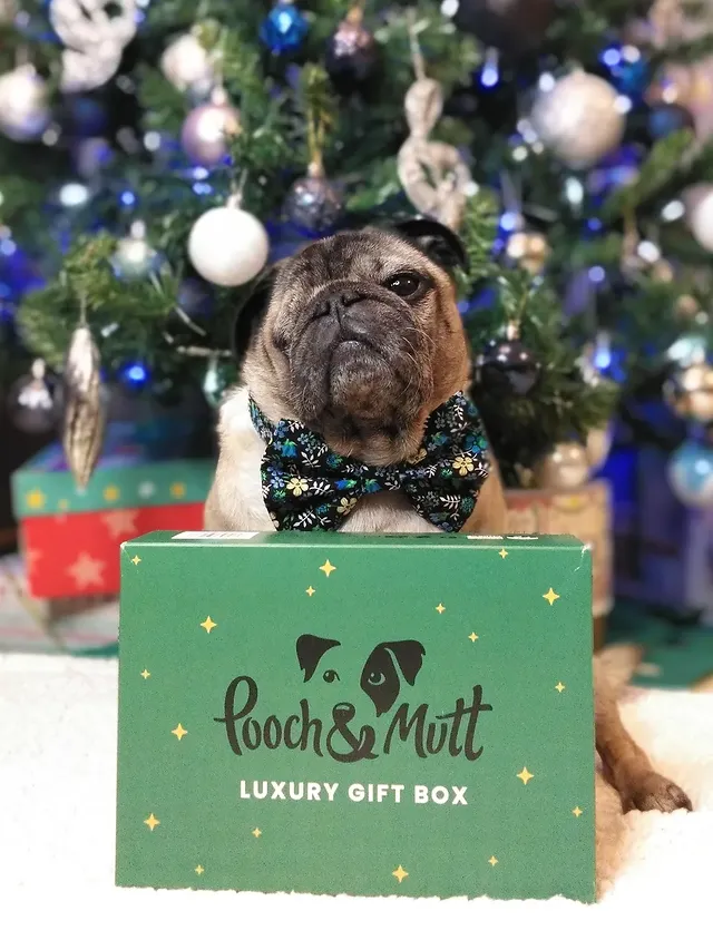 Instagram post by @lilrascalpug for Pooch and Mutt. Caption reads: [...] _____ ❤️ Luxury Christmas Gift Box....