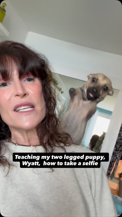 Instagram post by @amira.amiracle for BuzzFeed. Caption reads: It’s like trying to tame a tumbleweed. He puts....