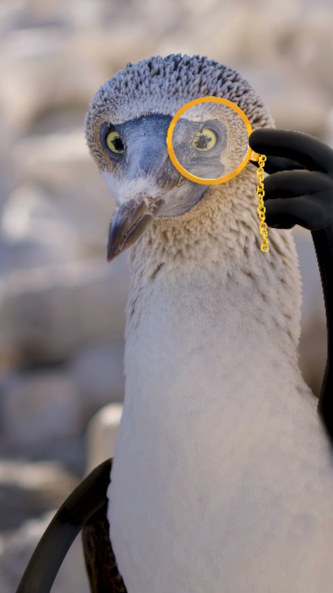 Instagram post by @leopartnik for NBC News. Caption reads: ❗❗❗Reading Season ❗❗❗ Did @tomhanks say, “Reading....