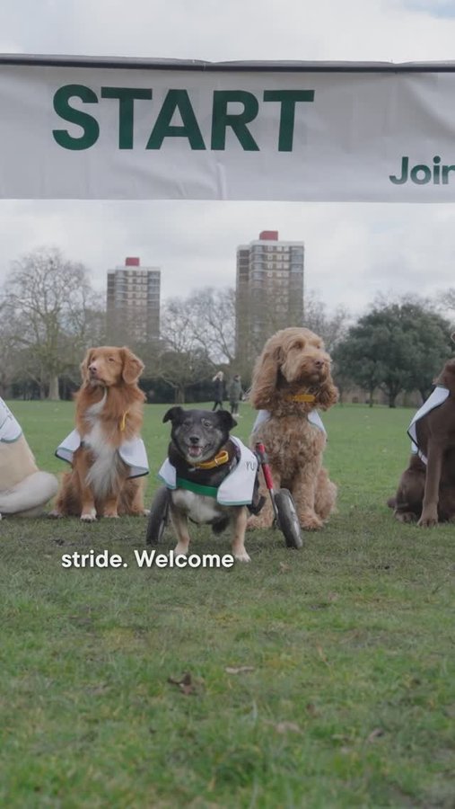 Instagram post by @lmuiruns for YuMOVE. Caption reads: A HUGE congratulations to our crew of six everyday....