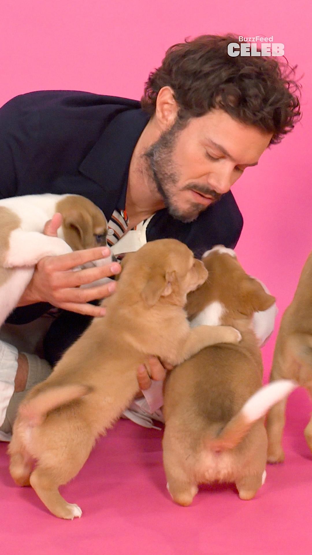 Instagram post by @pawsitivebeginningsla for BuzzFeed. Caption reads: Presented by PetSmart.

To celebrate Season 2 of....