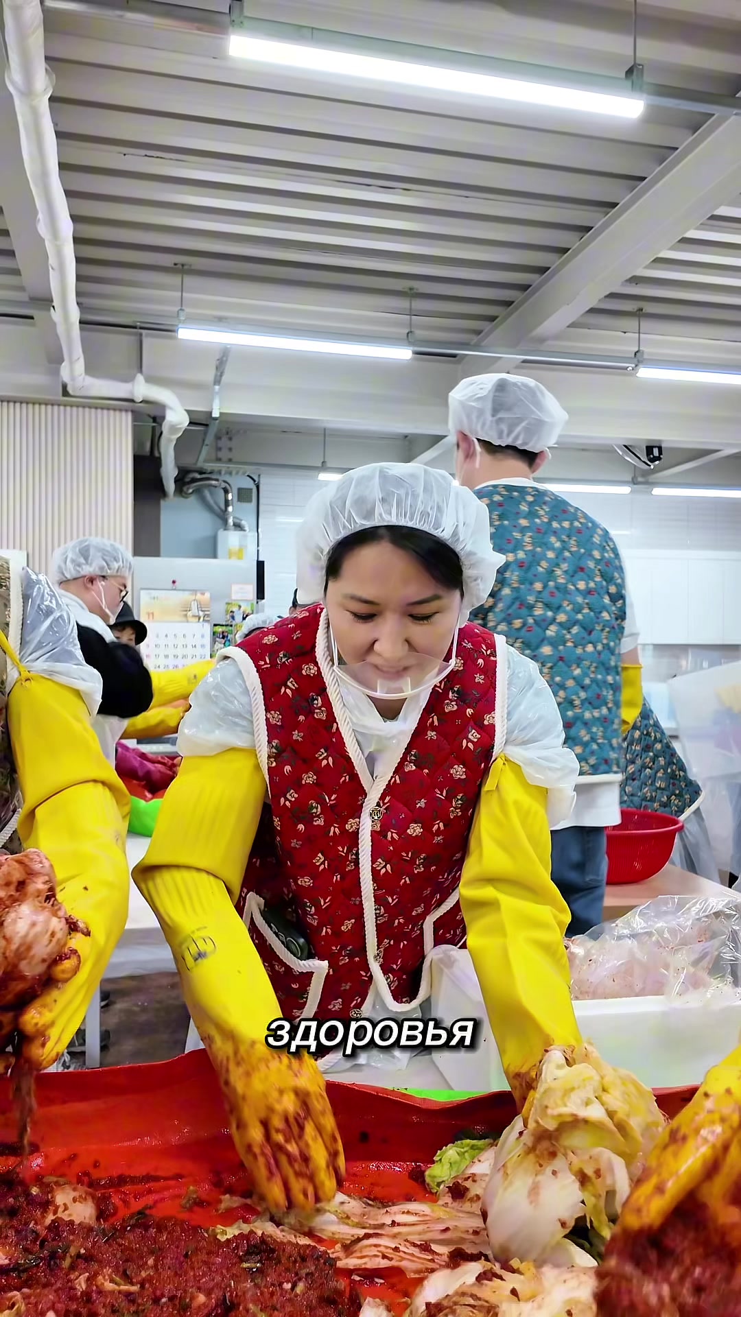 TikTok post by @altysh.korea for Round Lab. Caption reads: Делаем кимчи вместе с @ROUND LAB #корейскаякухня....