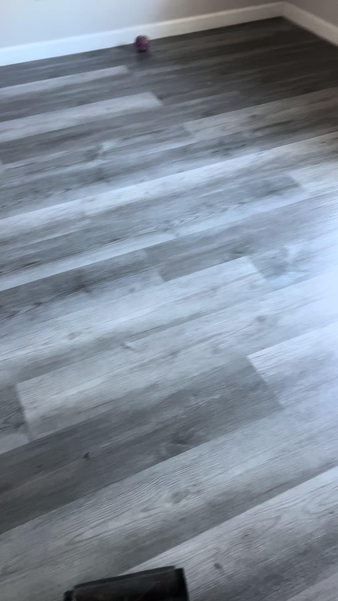 TikTok post by @zeuzpach87 for Homeika. Caption reads: #perros #aprendeentiktok #homeika @Homeika US.