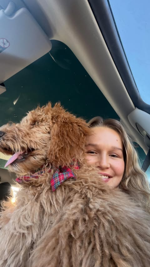 Instagram post by @povbrookewyatt for blue buffalo. Caption reads: #bluebuffalopartner Norma Jeane update: she’s....