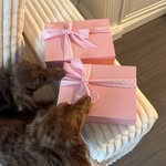 Instagram post by @baileymarshall for Endy. Caption reads: [...] Let’s go bed shopping besties! the new @endy....