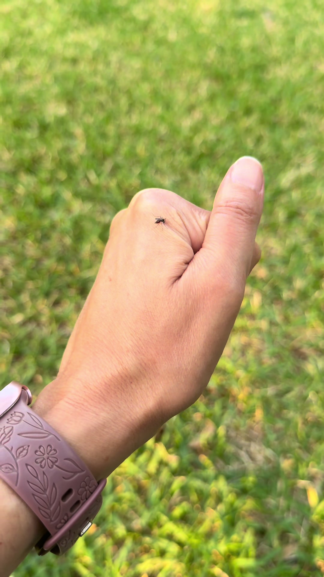TikTok post by @aimeebmartin for Bug Bite Thing. Caption reads: [...] tool is the best thing for them. @Bug Bite....