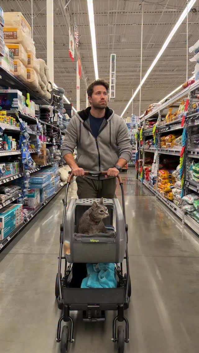 Instagram post by an influencer for Catalyst. Caption reads: @catalystpet is in Walmart!!!! This is [...].