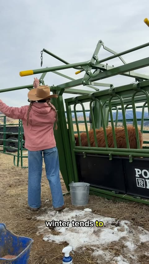 Instagram post by @emogoatmom for Vetericyn. Caption reads: [...] me from bigger problems later! #ad....