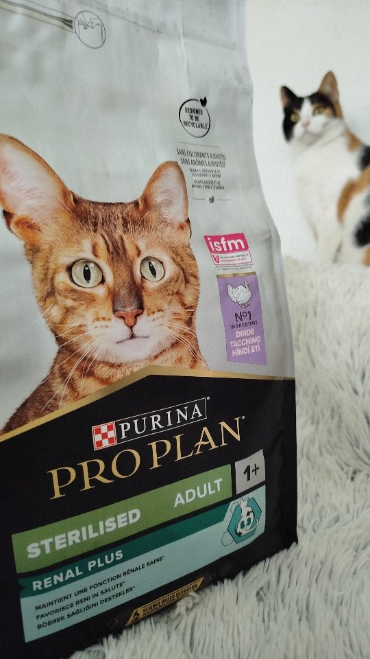 Instagram post by @_alicja_al for Purina Polska. Caption reads: Chcę jak najlepiej zadbać o moją kotkę po zabiegu....