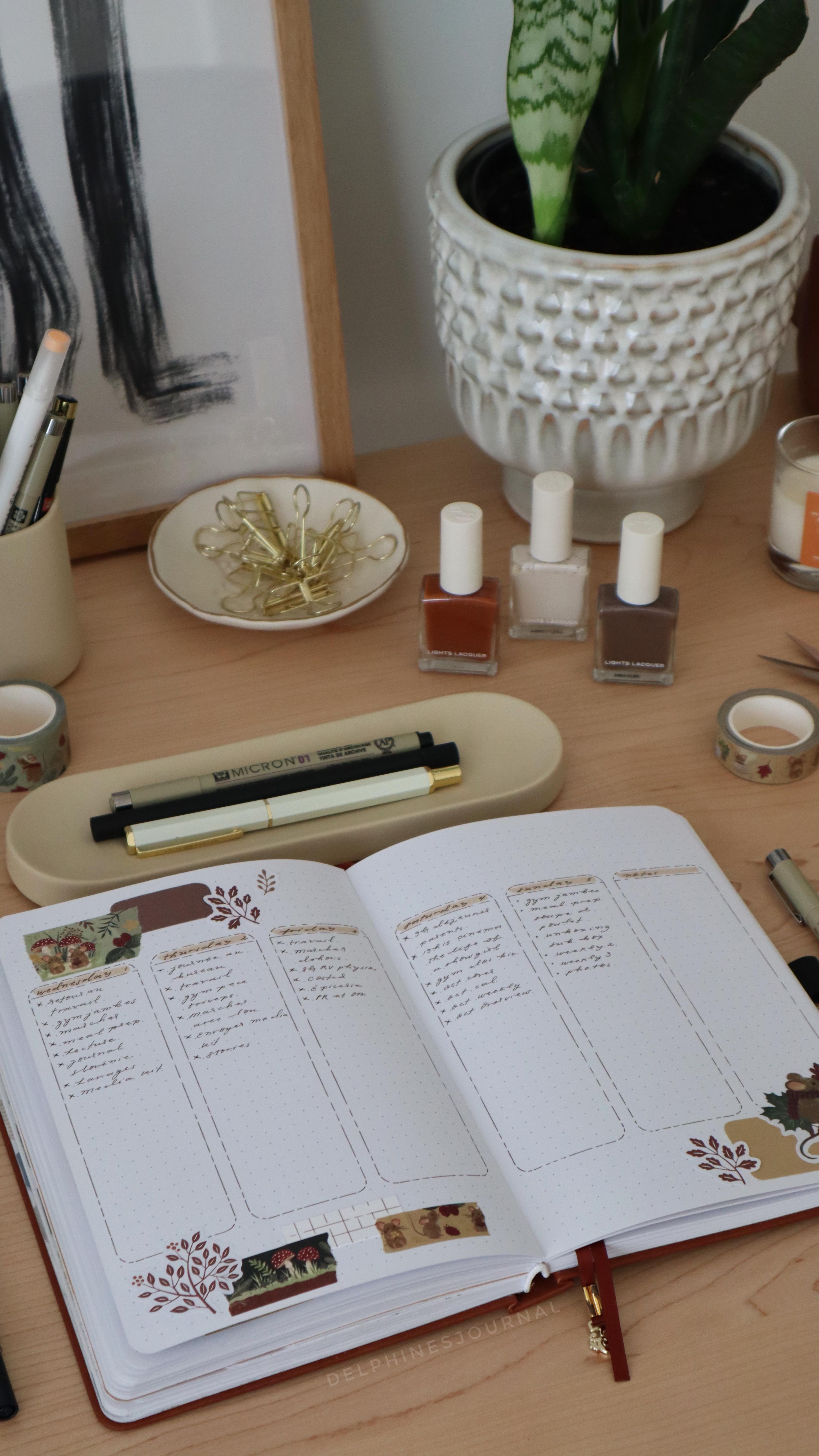 Instagram post by @delphinesjournal for Archer and Olive. Caption reads: My first October weekly 🍂

We’re having a long....