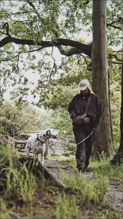 Instagram post by @smudgeandpeanut for Tractive. Caption reads: [...] Which is exactly why he wears the @tractive....