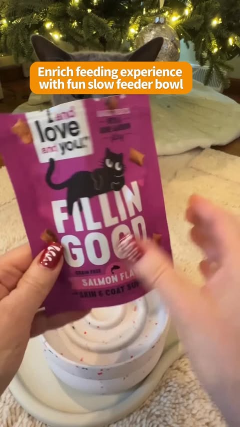 Instagram post by @purrfectinfluencer for I and love and you. Caption reads: New crunchy @iandloveandyoupet cat treats make the....