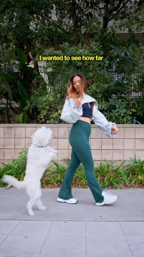 Instagram post by @torinishino for Wellness Pet Food. Caption reads: Well I guess you can call him Master Bon Bon now.....