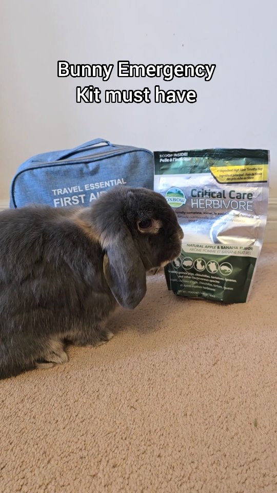 Instagram post by @bluberrythebun for Oxbow Animal Health. Caption reads: Oxbow critical care is an effective emergency food....