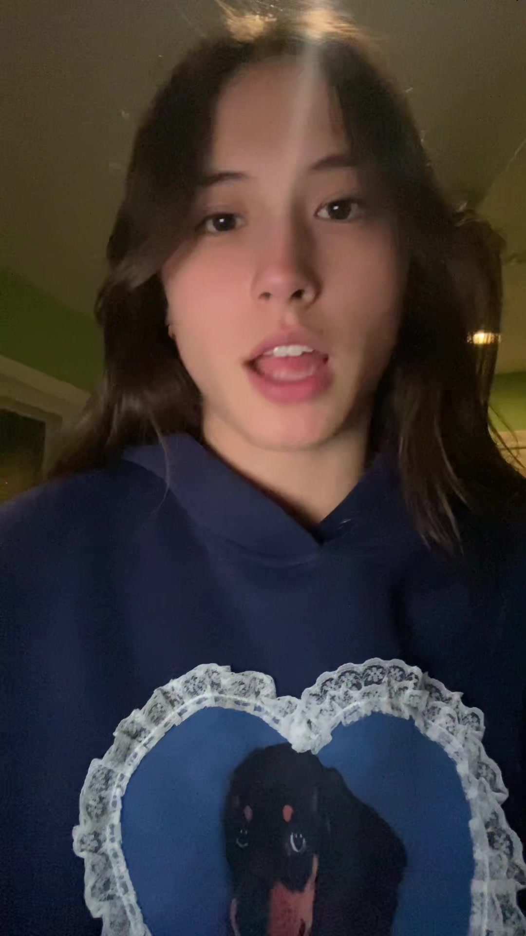 TikTok post by @julieschwieters for Aelfric Eden. Caption reads: Hoodie from @aelfriceden_official | Code jul15 for....