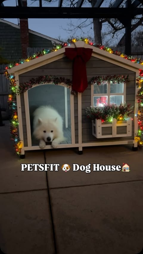 Instagram post by @mello_thesamoyed for Petsfit. Caption reads: Christmas Decorated Dog House🐶🎄🏠 from....