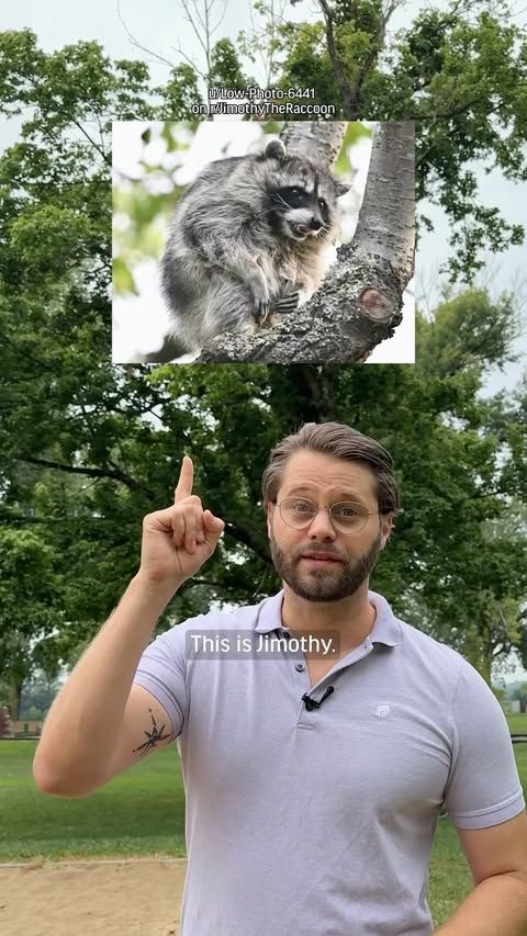 Instagram post by @davejorgenson1 for Harry's. Caption reads: Who is Jimothy the Raccoon? As of today the....