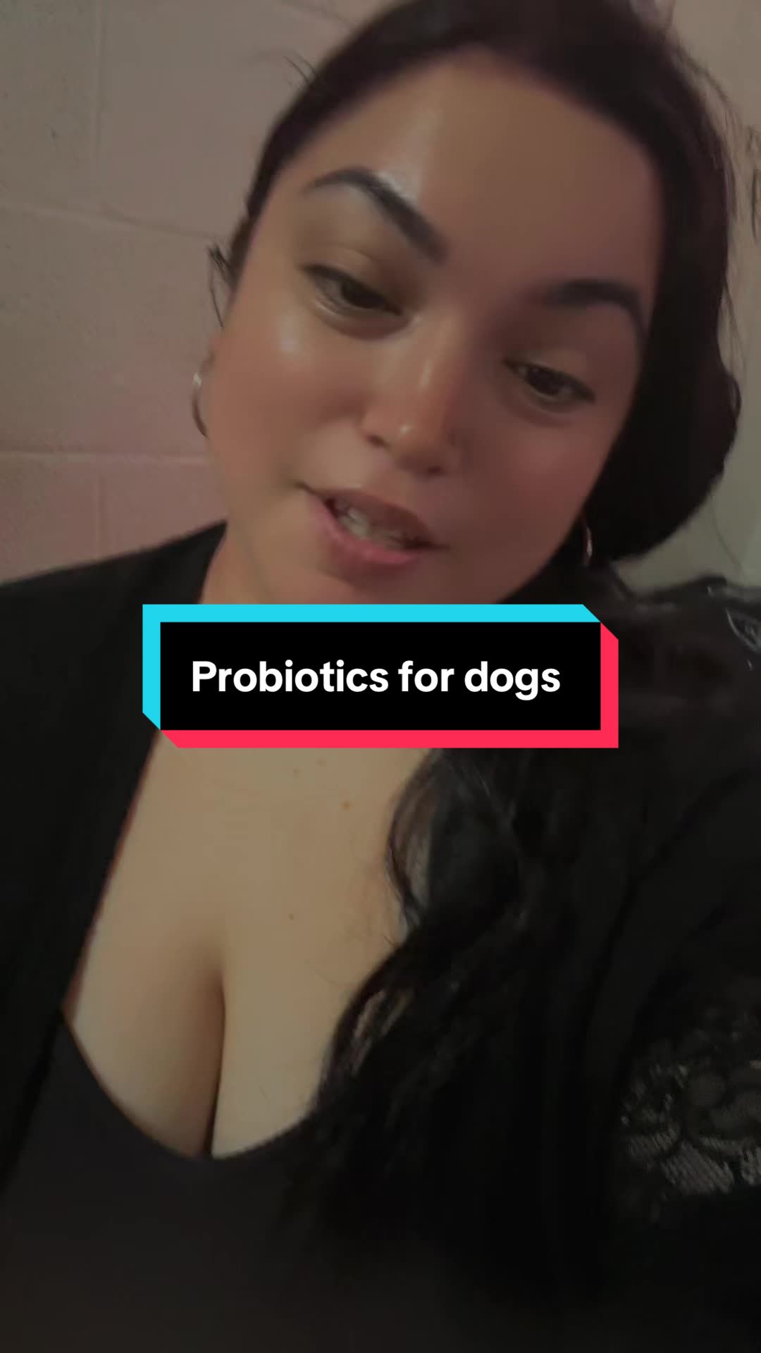 TikTok post by @_meghanp93_ for HapWag. Caption reads: [...] health for your furry best friend #Hapwag....